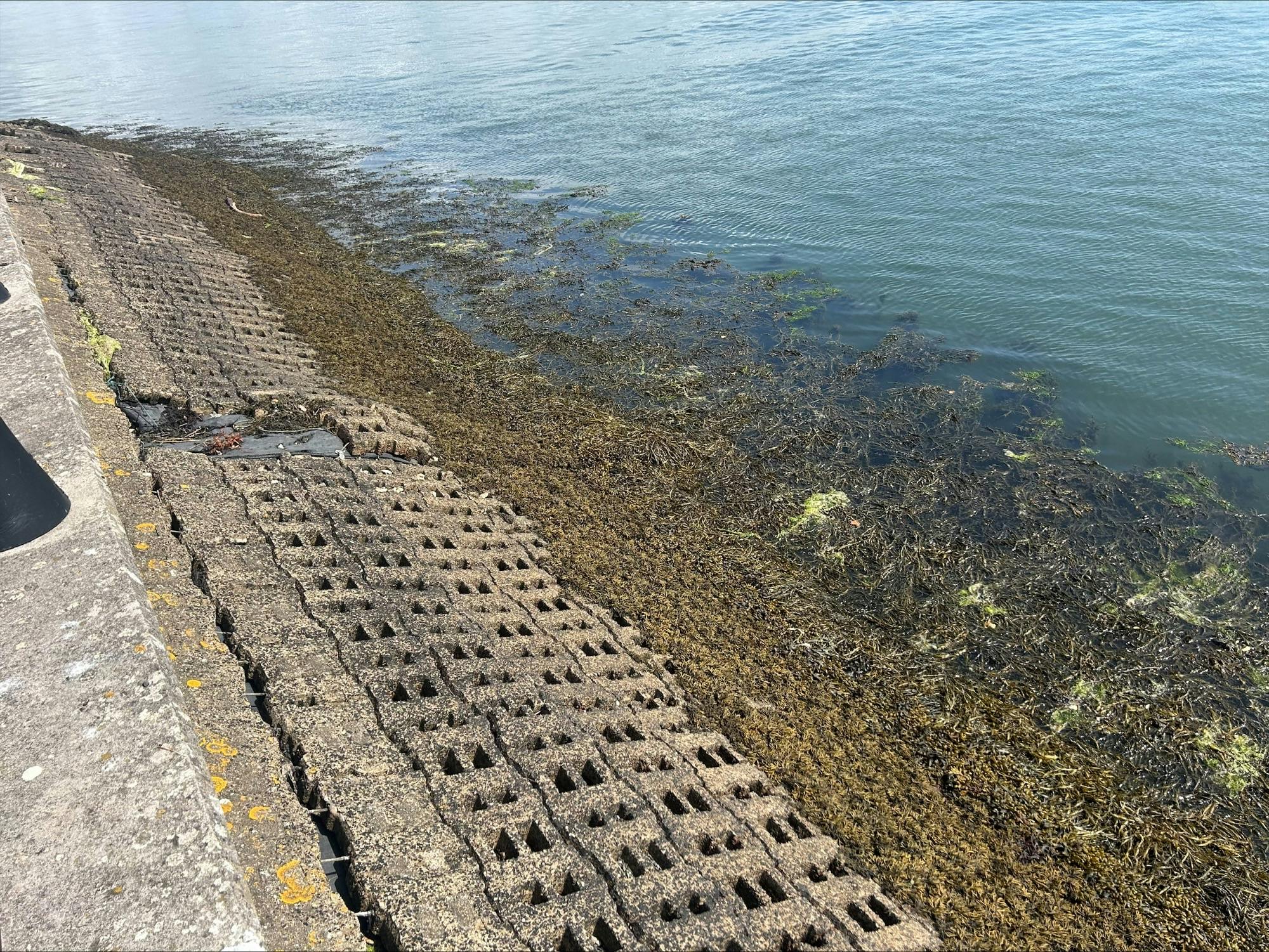 Existing Revetment Damage (6).jpeg