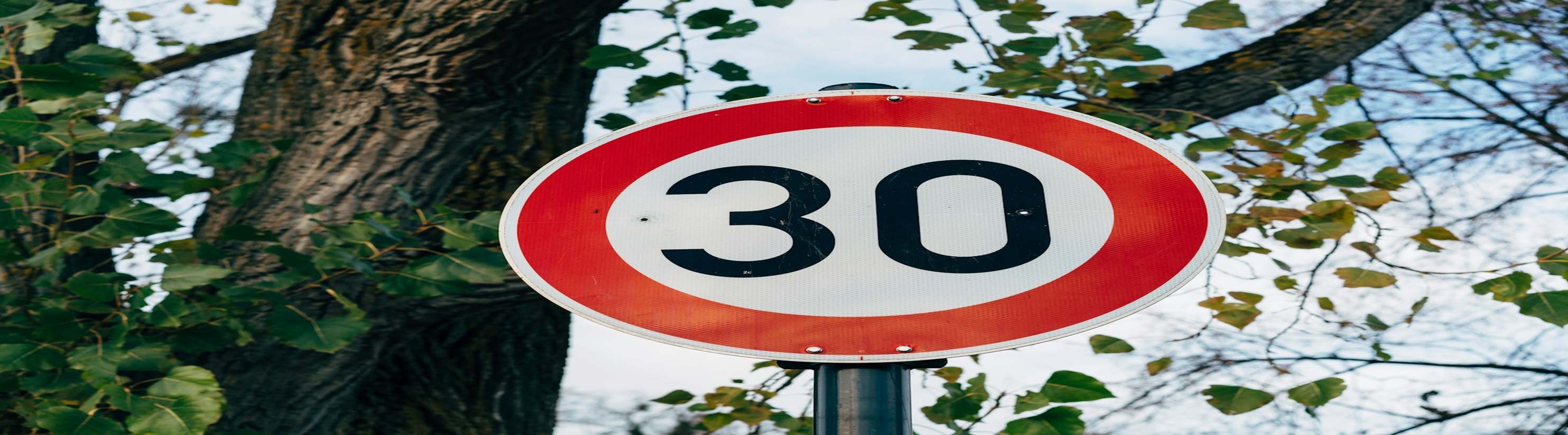 Photo of 30mph sign in front of tree.