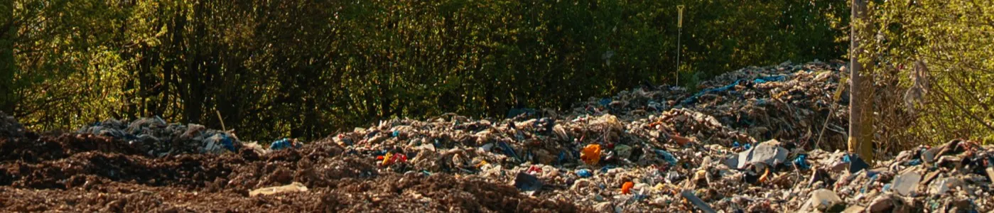 the edge of the tail of the waste in April 2026