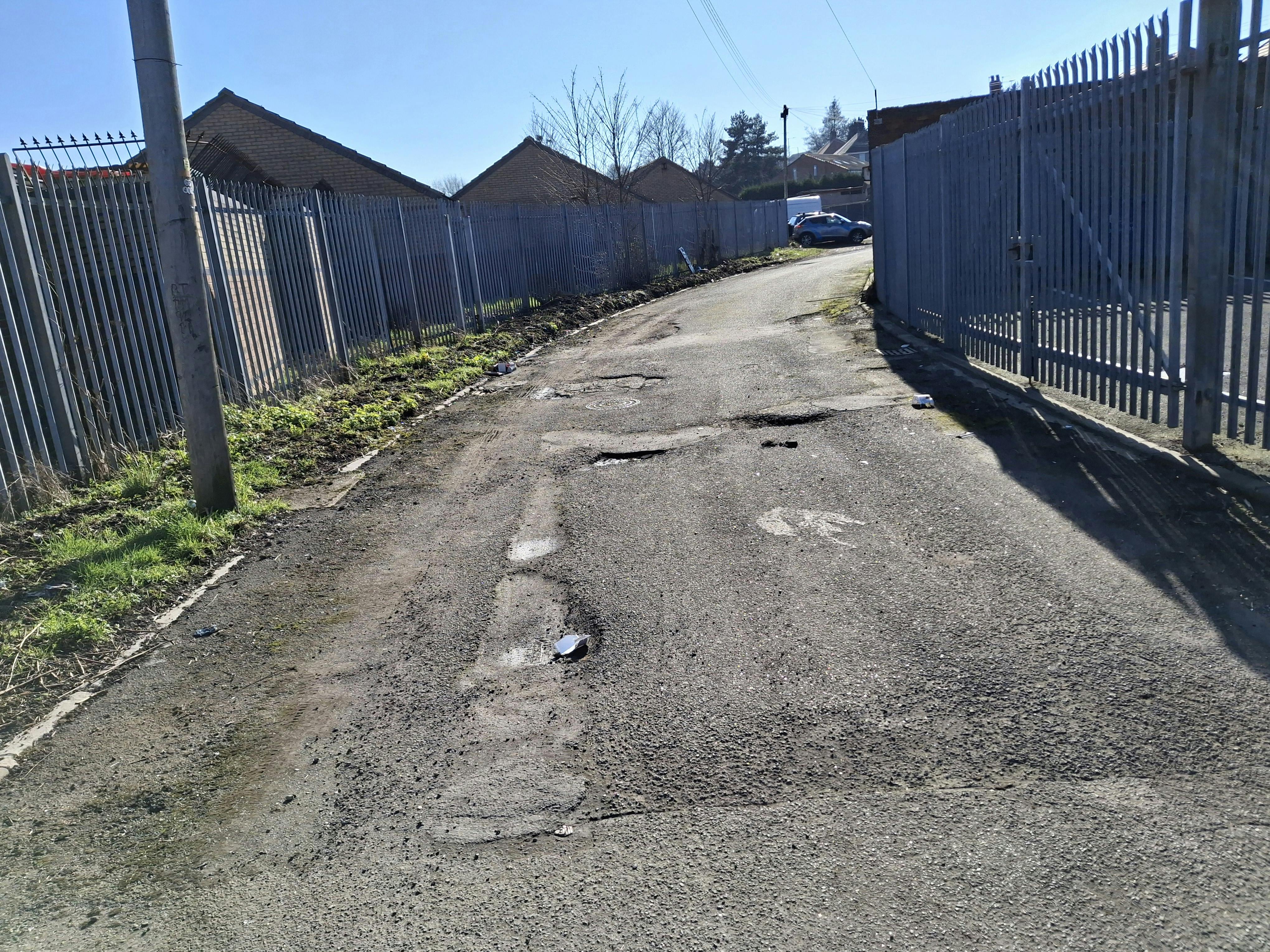 Bonsall Lane Clearance- After