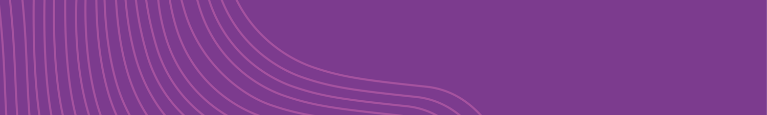 project banner