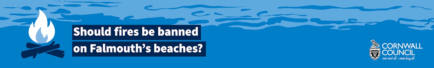 Should fires be banned on Falmouth's beaches?