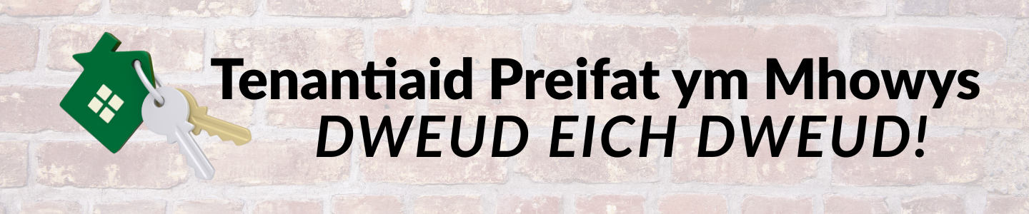 Icon of two keys on a keyring with 'Tenantiaid Preifat Dweud eich Dweud' written in black text on a brick wall background