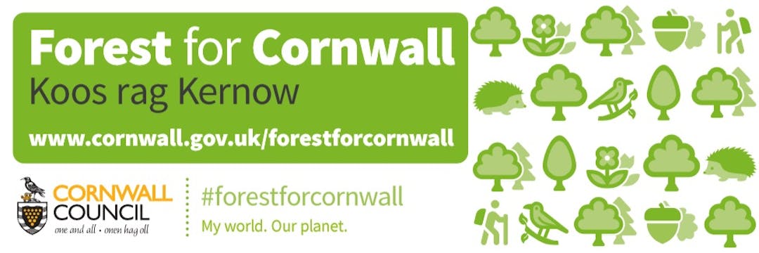 The Forest for Cornwall is an ambitious tree planting project with the principle aim of fighting climate change. The Forest for Cornwall is not a single area of new forest but it includes trees in woods, parks, farmland, commercial forestry, orchards, street trees and those in the public realm of our towns and villages, including public parks and gardens.
