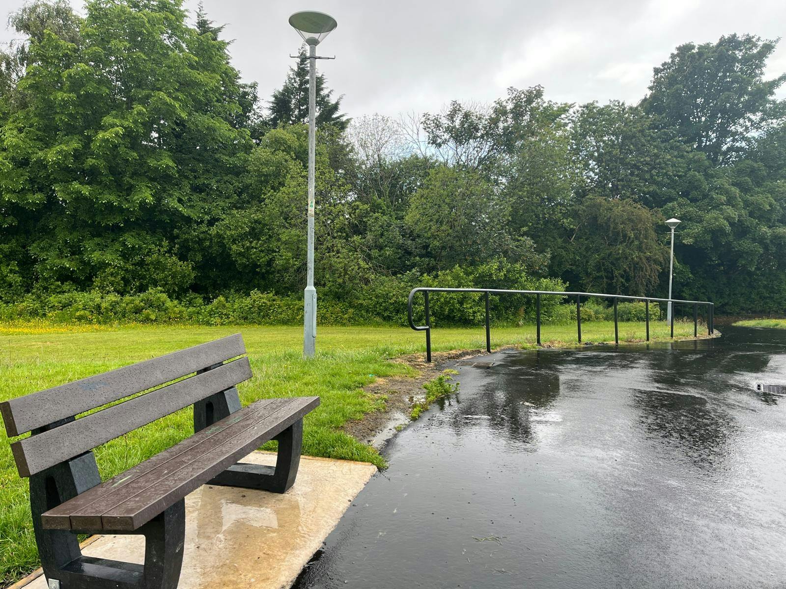 shared image (4).jpg