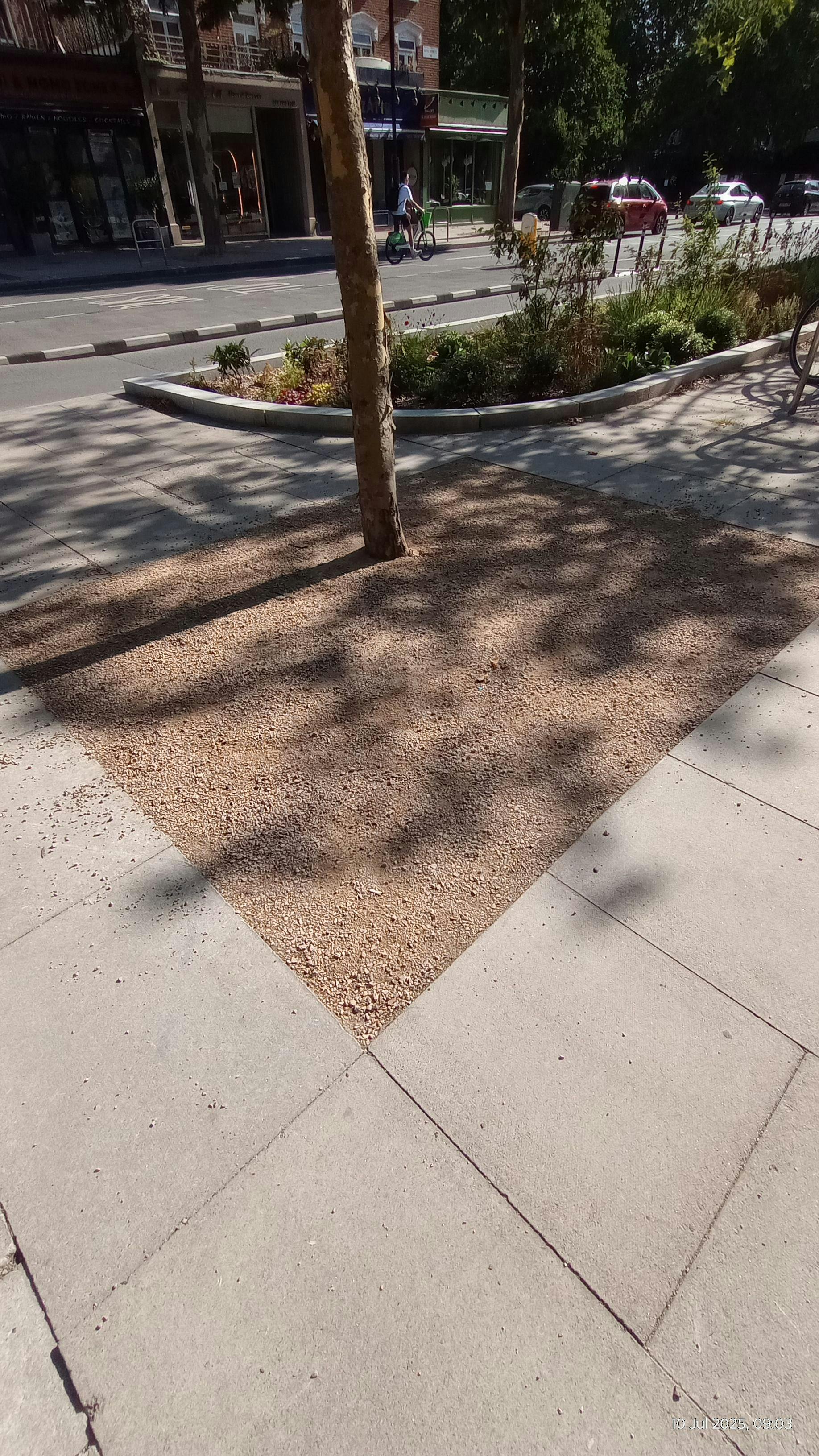 Gravel tree pit example at King street