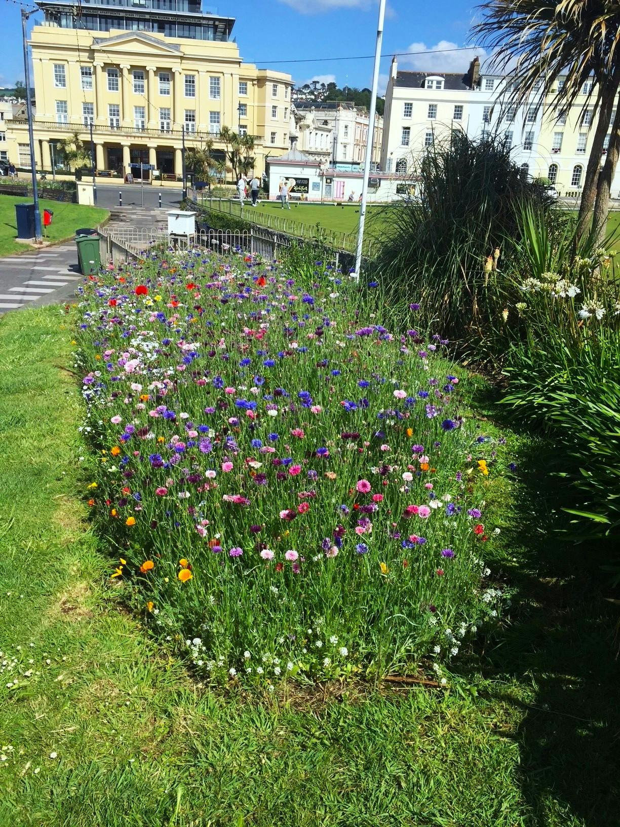 The Den - Teignmouth.jpg