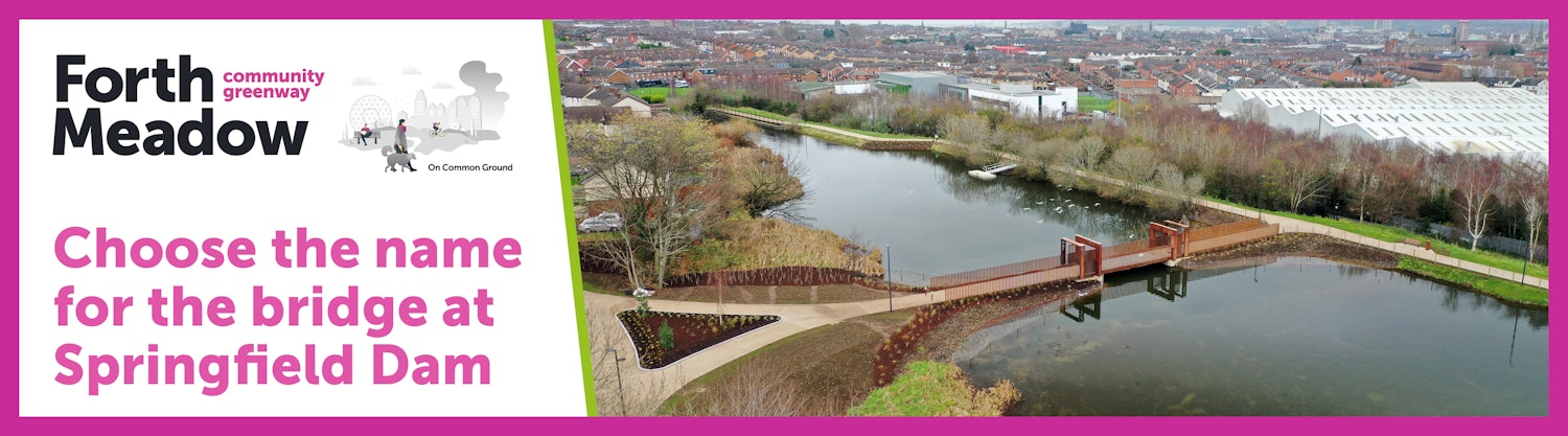 Forth Meadow - choose the name for the bridge at Springfield Dam