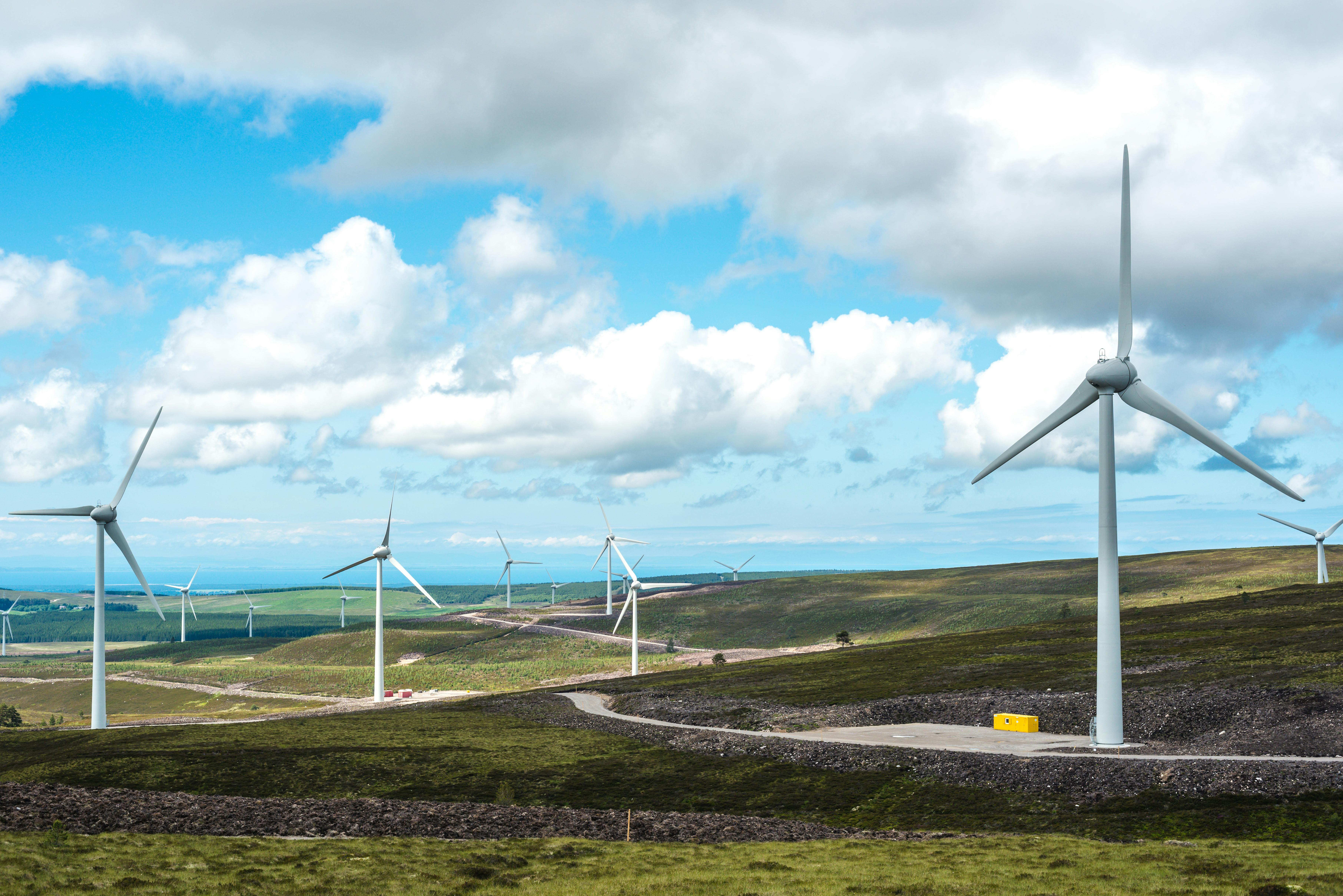 The 29 turbines at Berry Burn Wind Farm