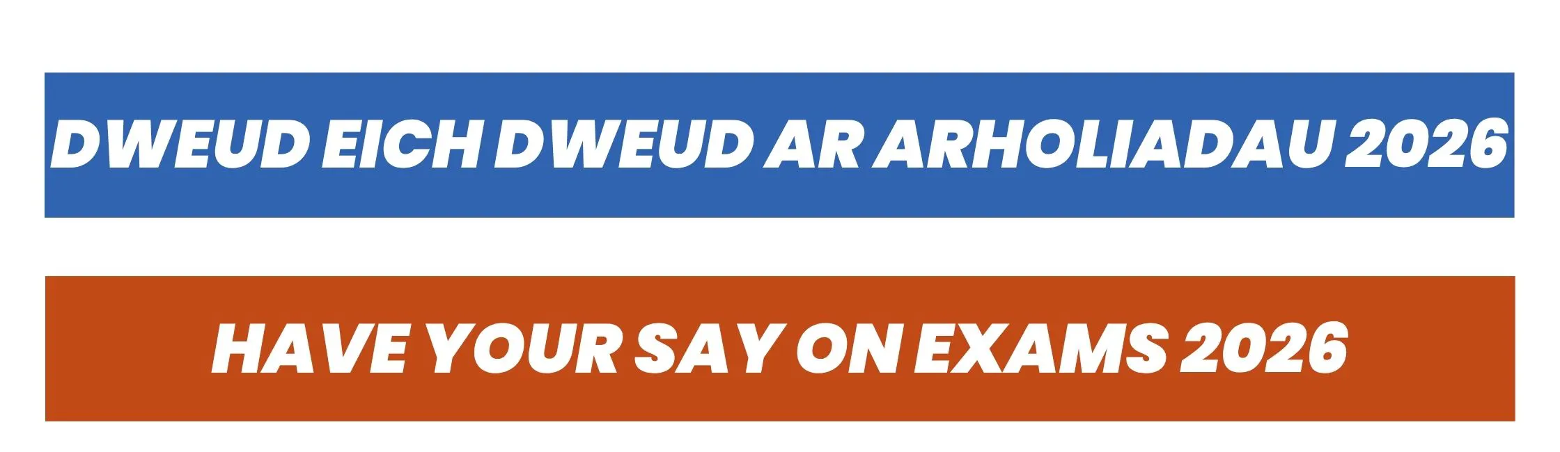 Have Your Say on Summer Exams