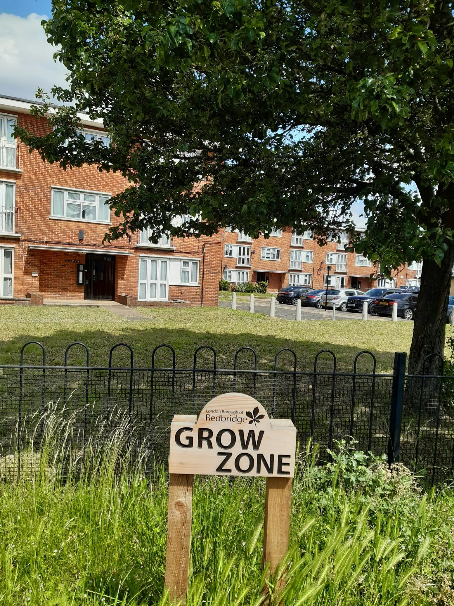 Grow zone 2.jpg