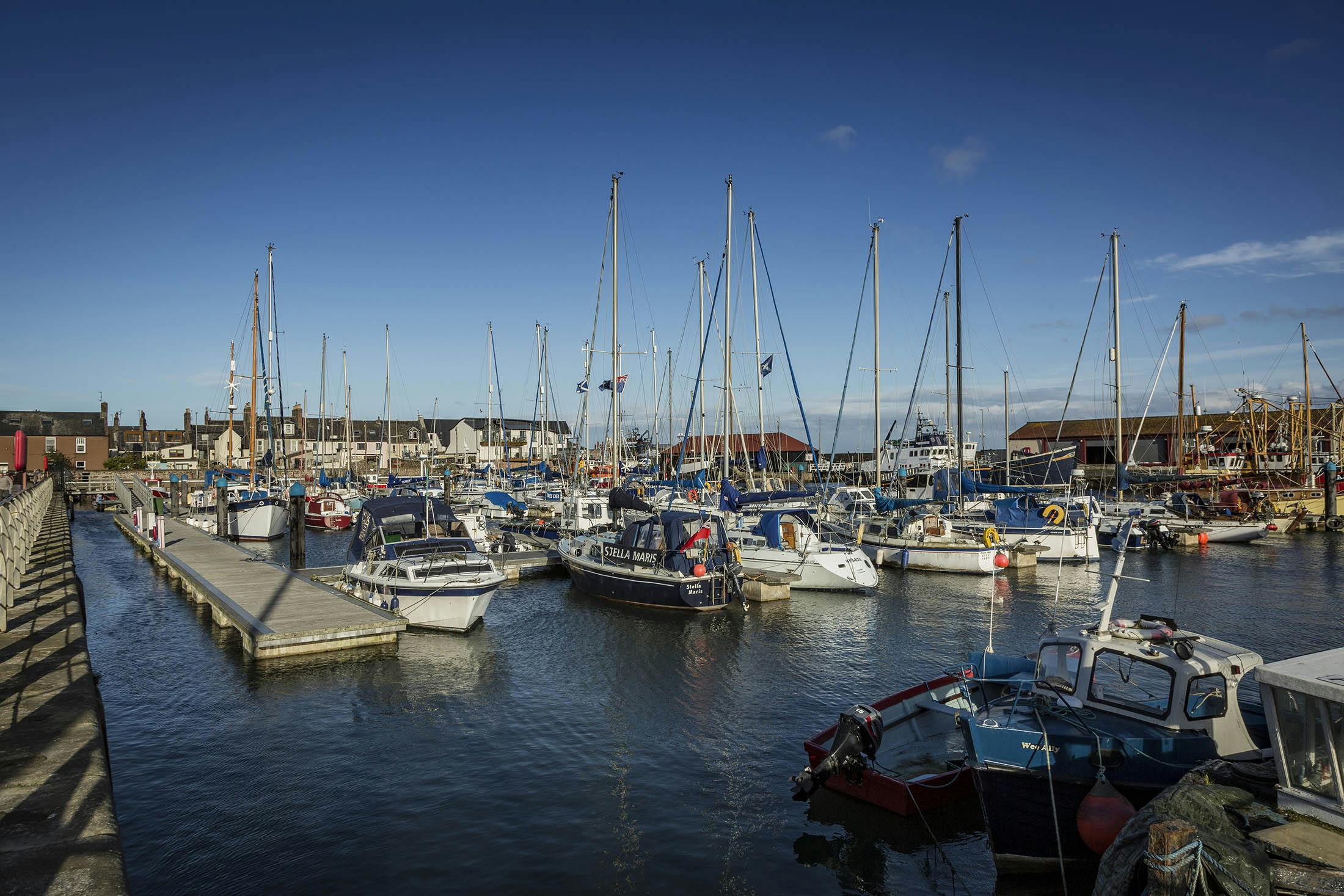 Arbroath Harbour-LR 0862.jpg