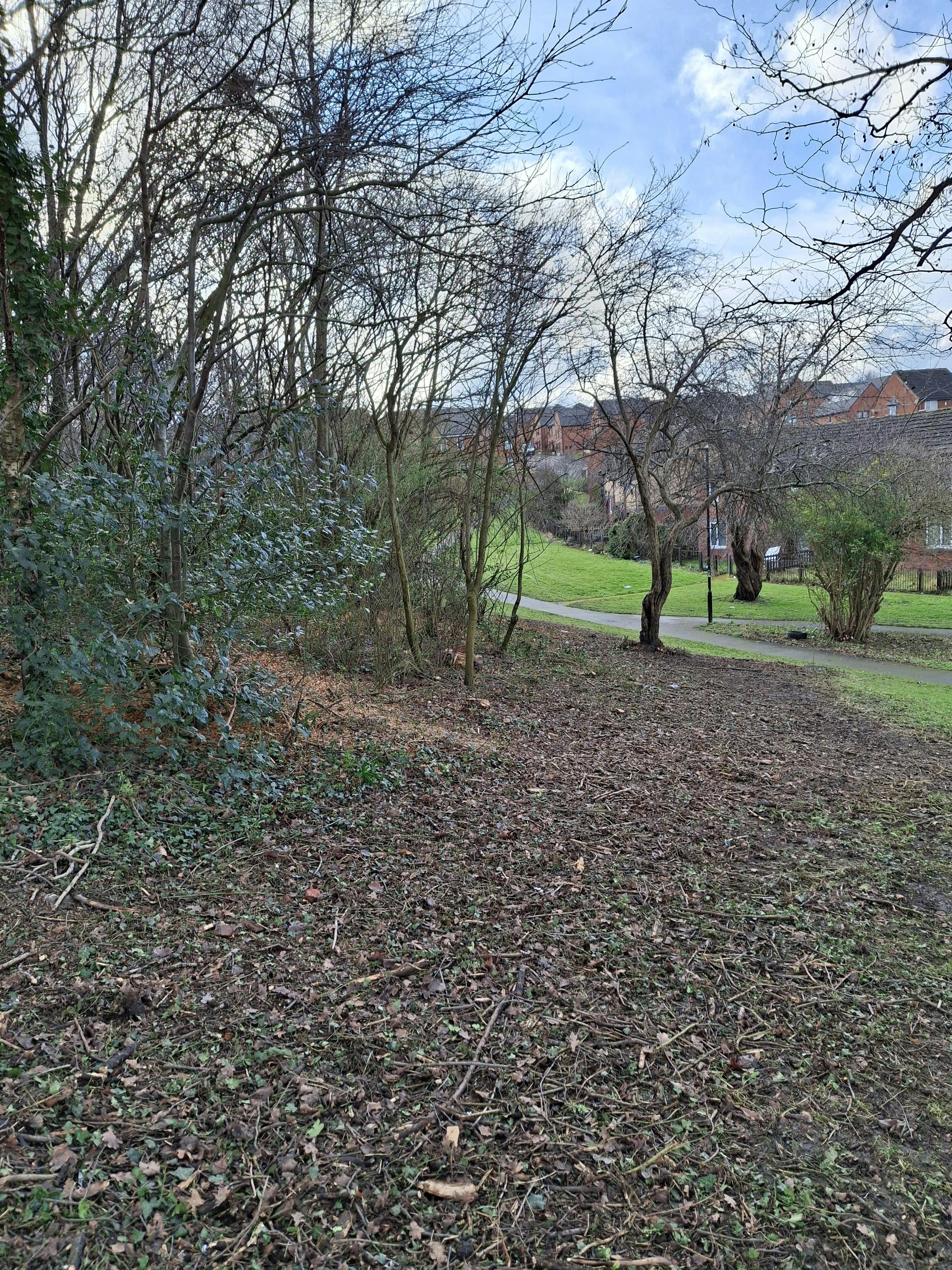 Motehall Walk Improvement