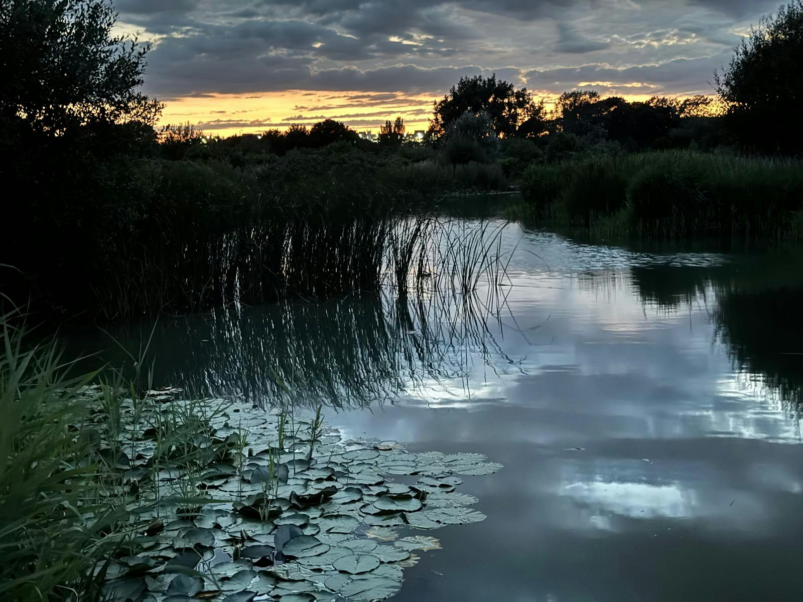 Redbridge photography awards - Young People's Award 5.jpg