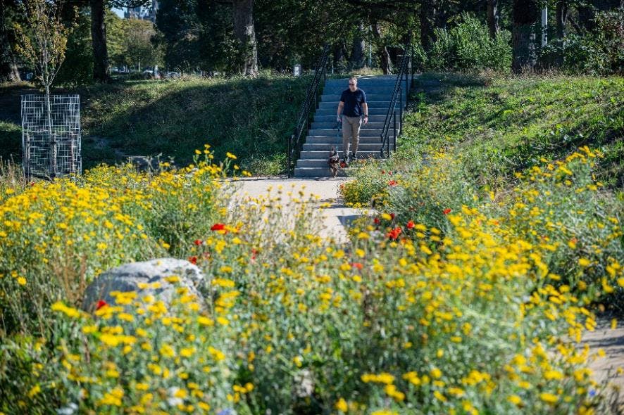 walkway with flowers.png
