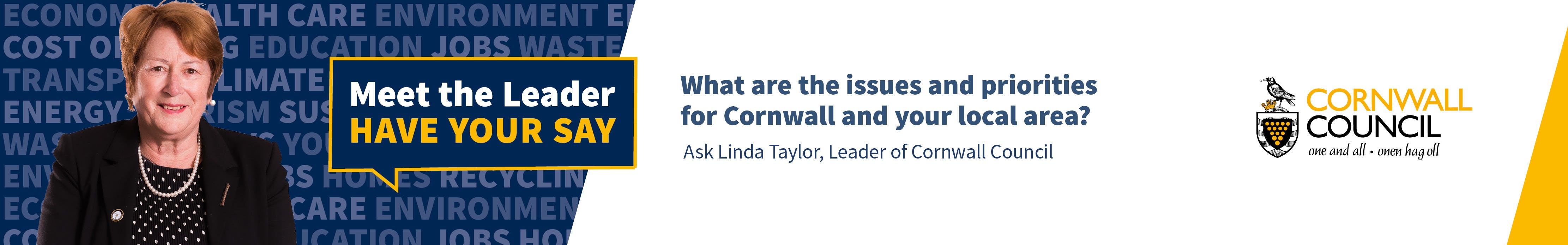 What are the issues and priorities for Cornwall and your local area - ask Linda Taylor, Leader of Cornwall Council