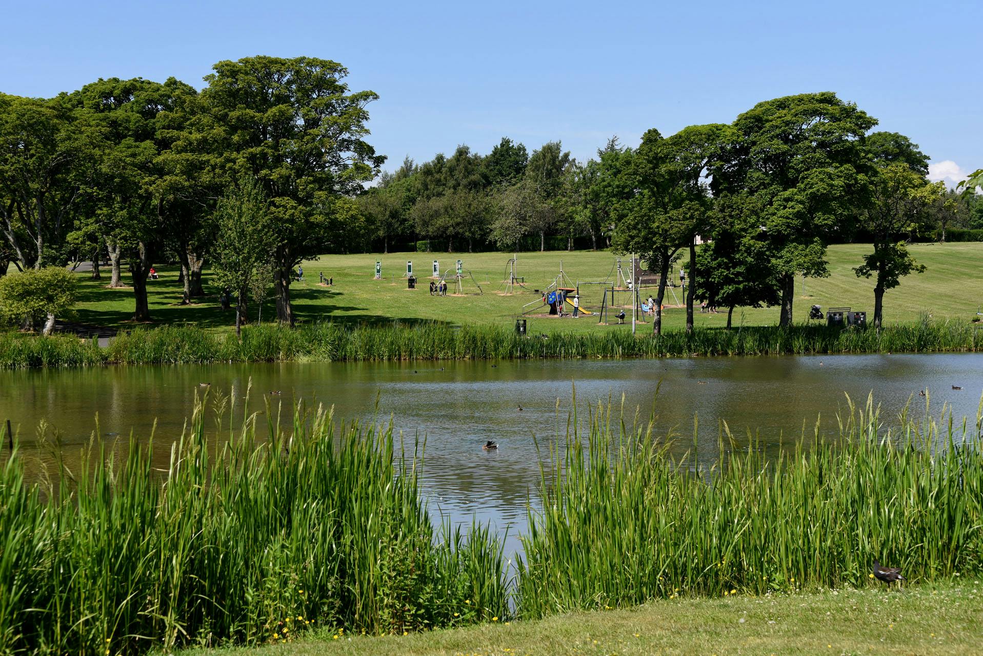 Image 85 Kay Park.jpg