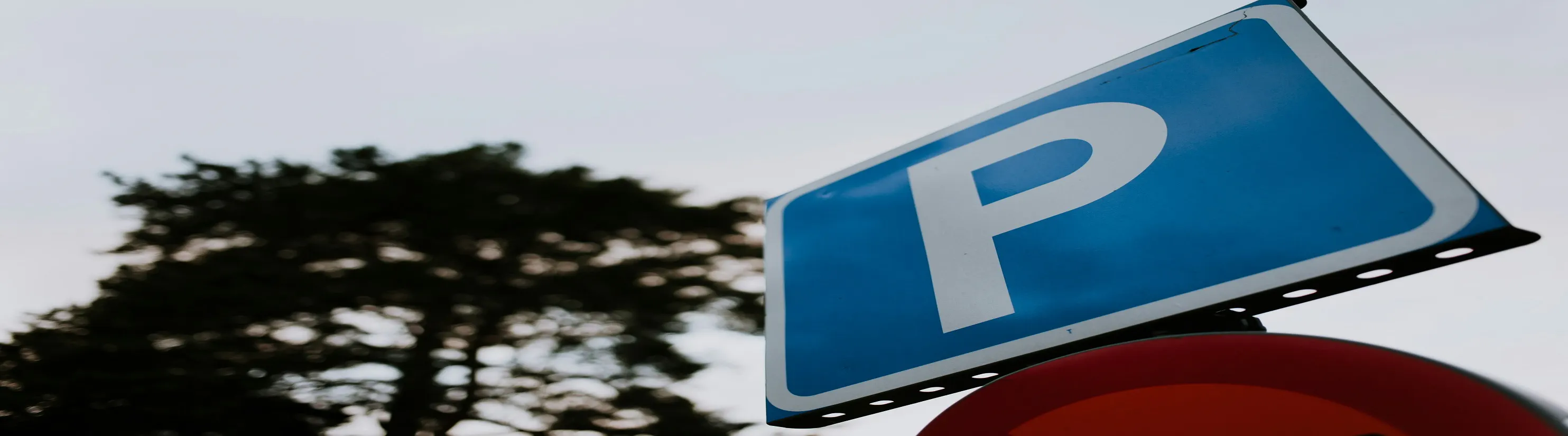 Photo of parking sign (white "P" on blue background)