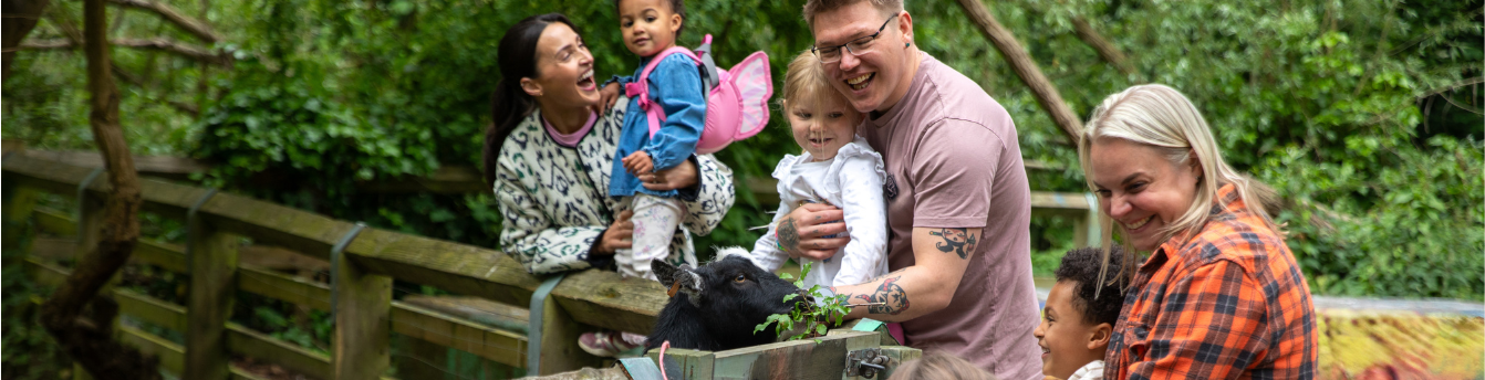 Some families enjoying a day out together feeding animals