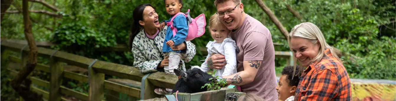 Some families enjoying a day out together feeding animals