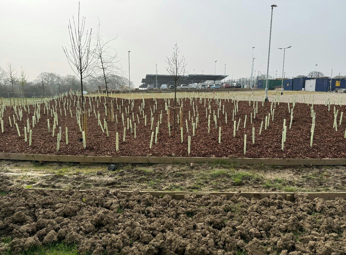 Building updates March 2026