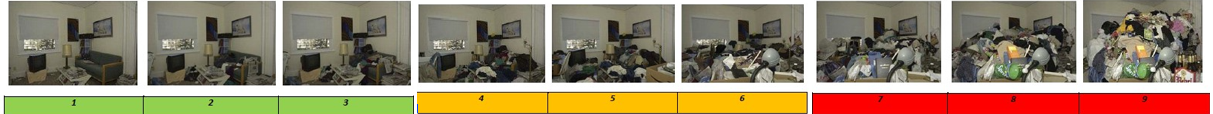 Sequence of images showing clutter ratings