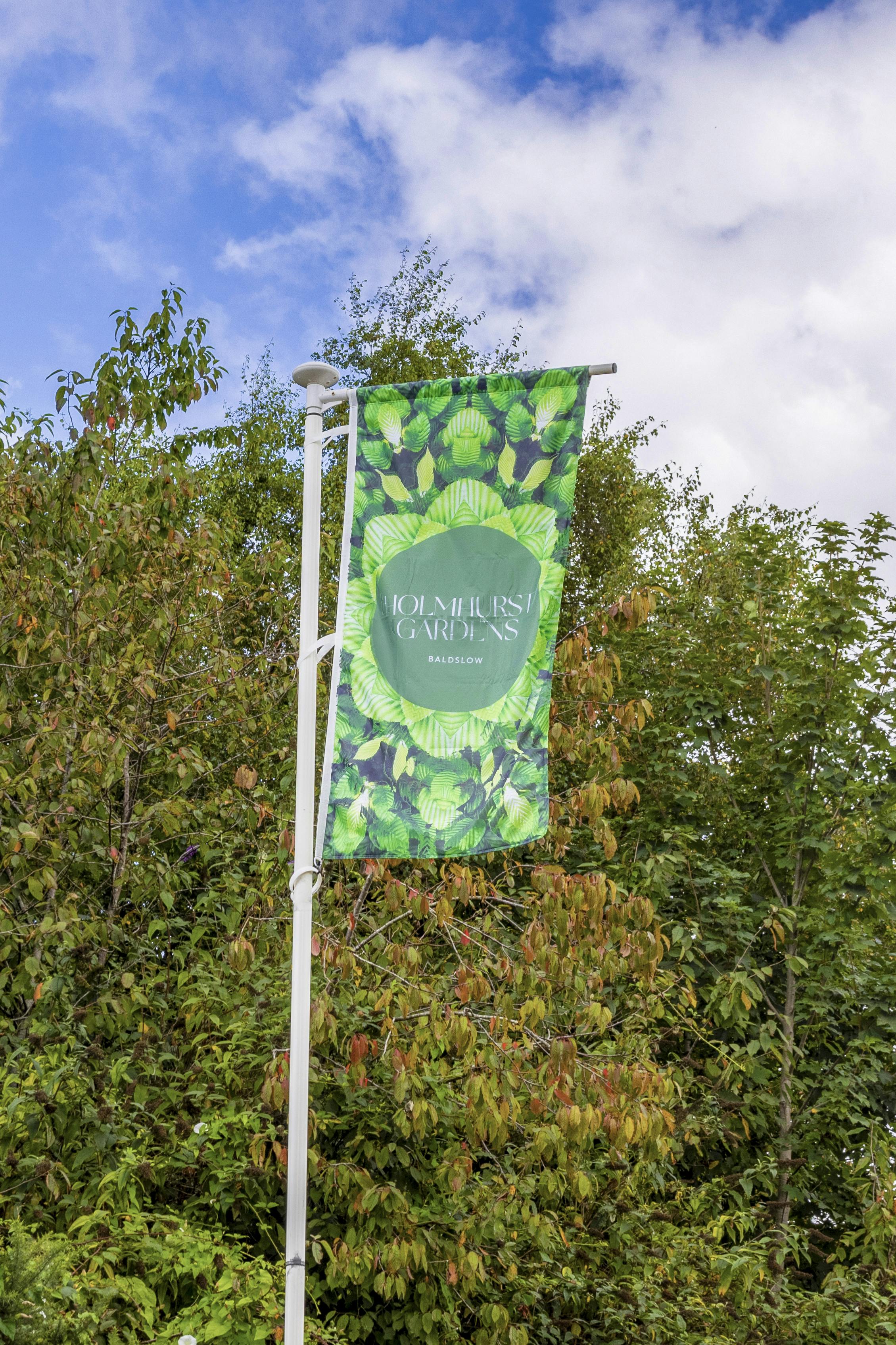 holmehurst banner picture.jpg