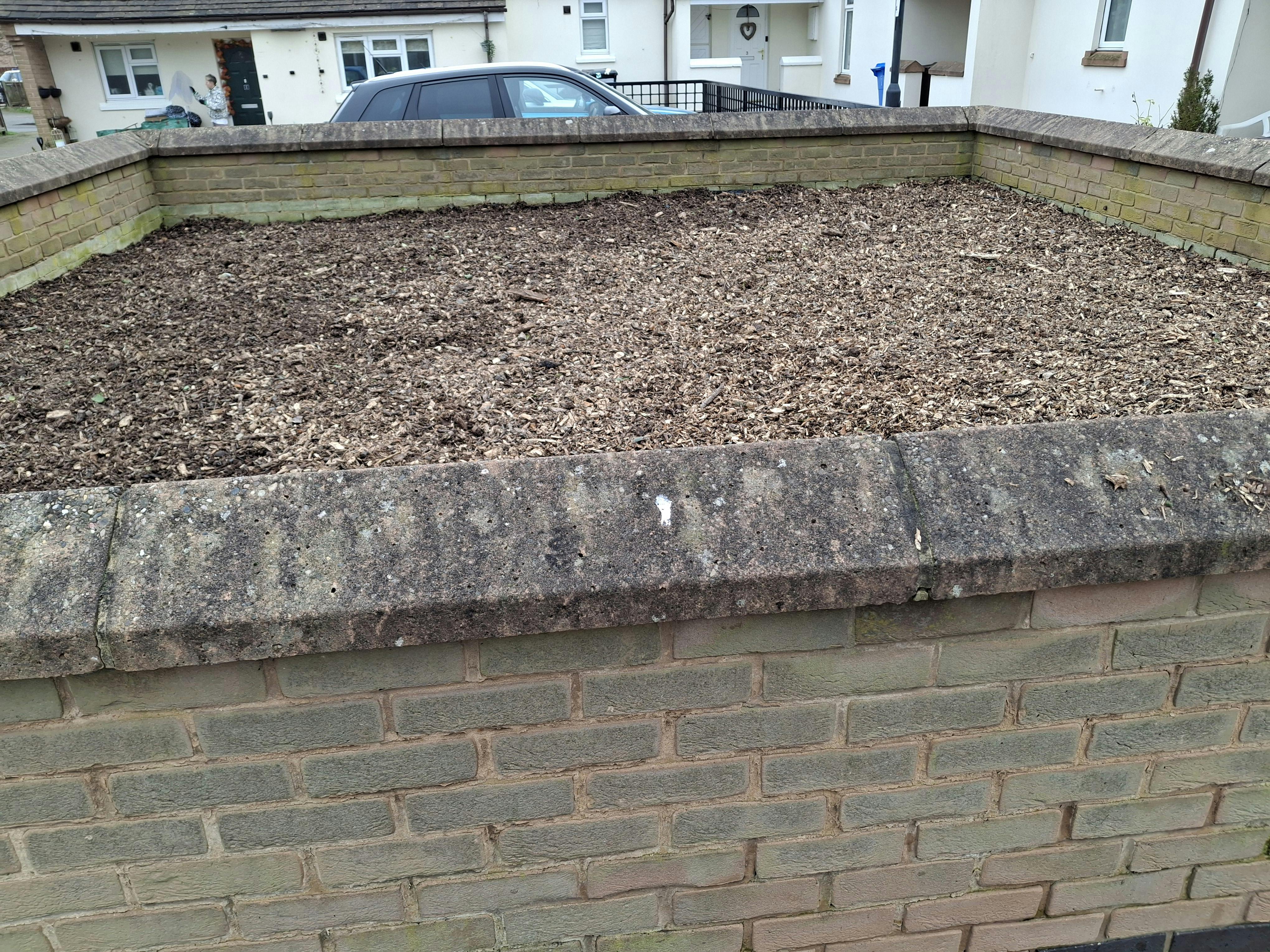 Flower Bed Improvement
