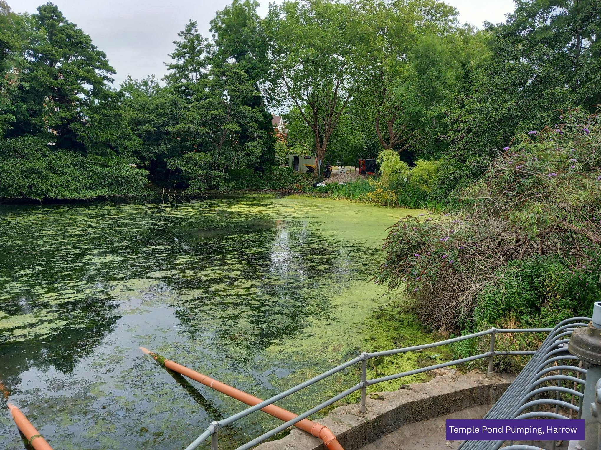 Temple Pond Pumping Harrow.png