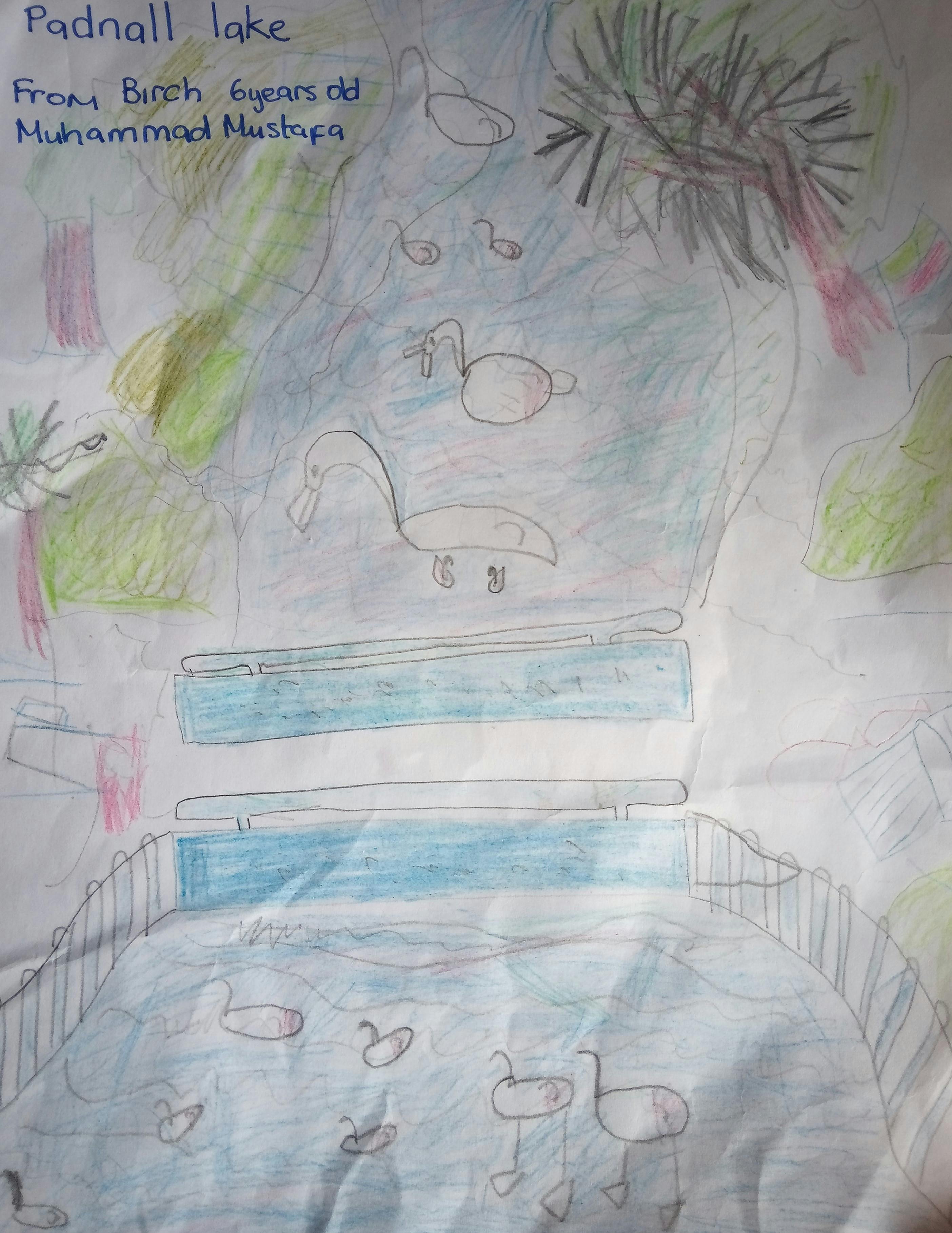 Welcome to Padnall Lake