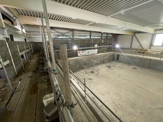 Eston Pool - Works Progress, June 2025