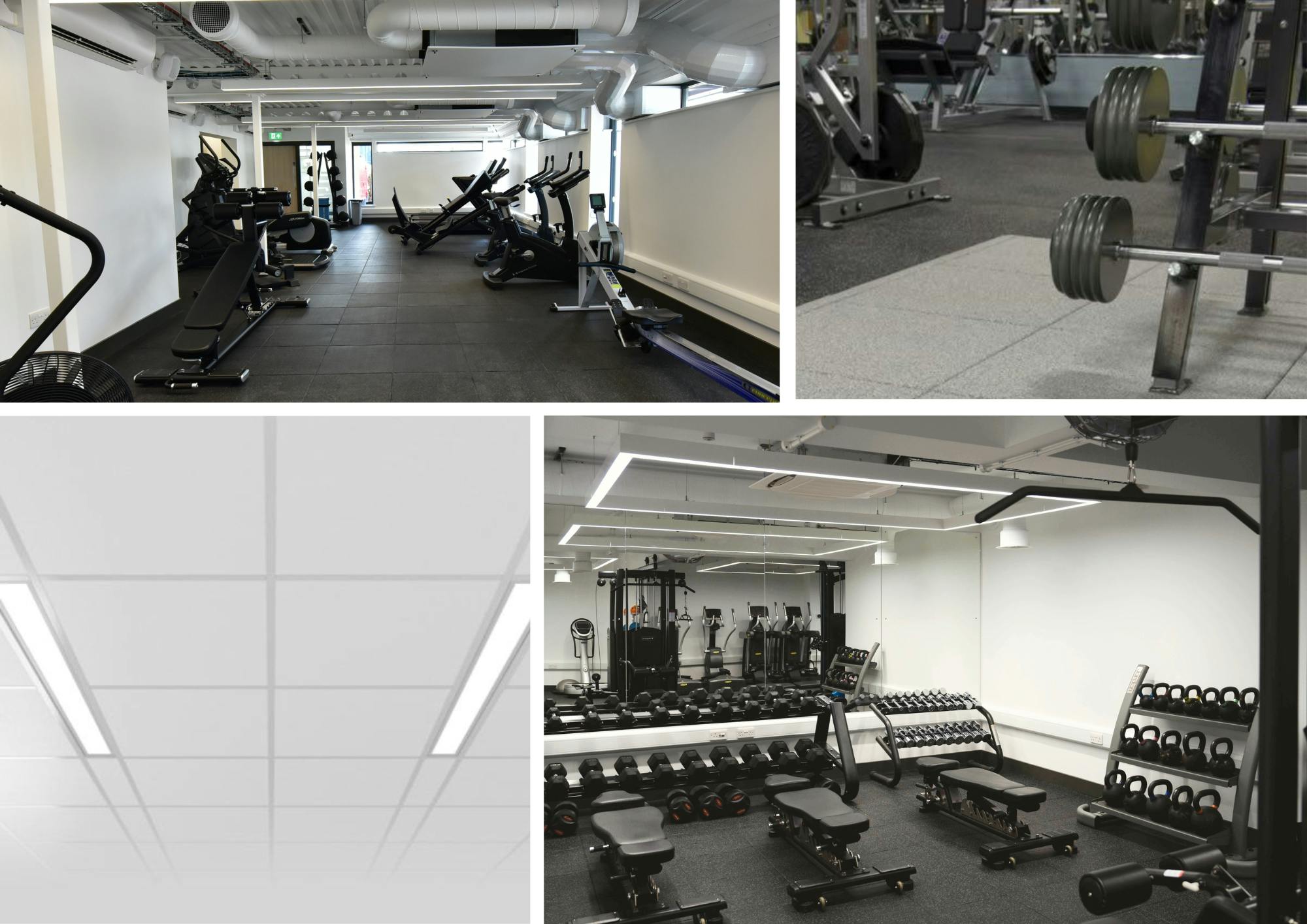 Design proposals: Gym