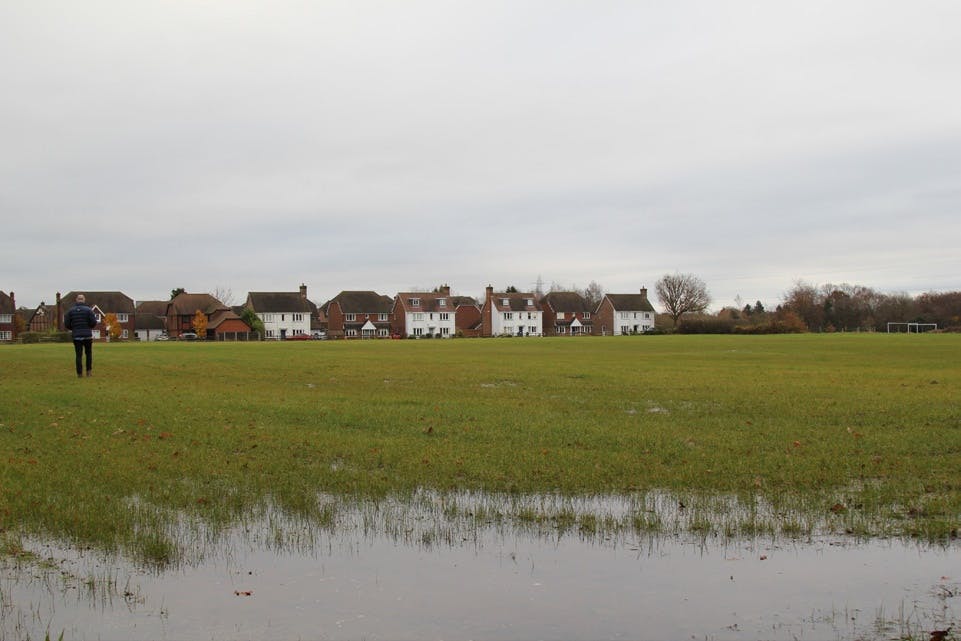 Hemsleys Meadow 