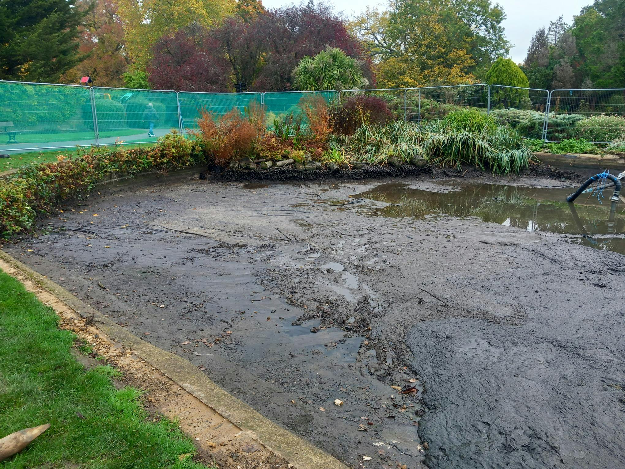 Pond Works Progress 221025_03.jpg