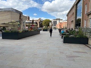 pic29.jpg