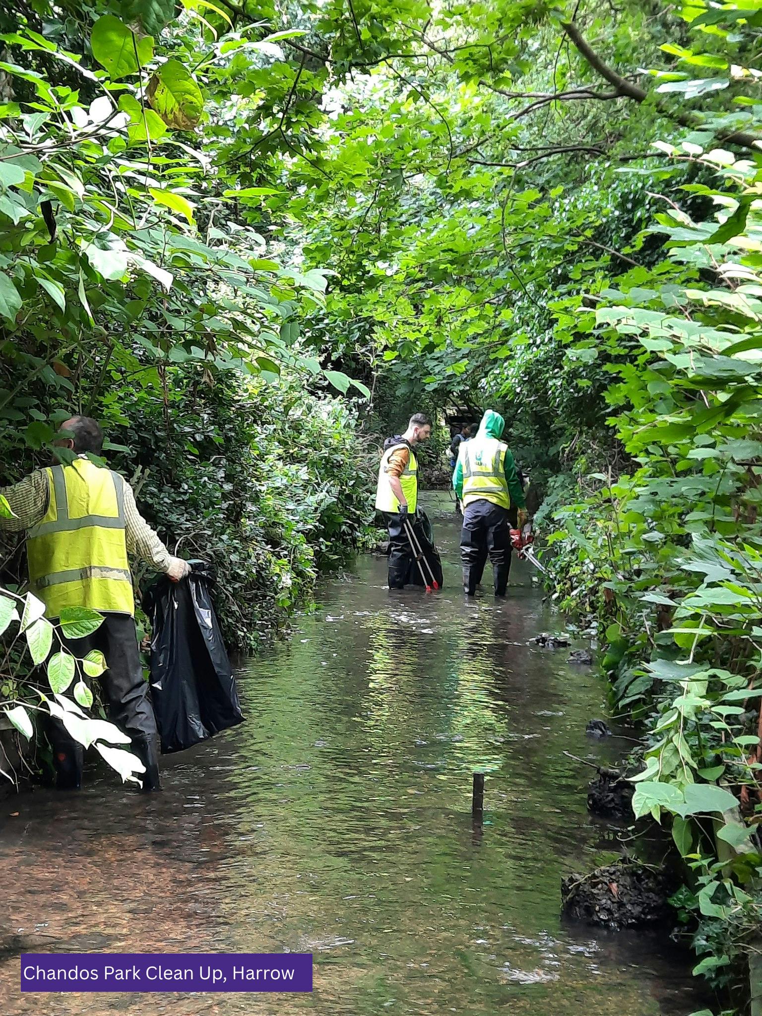 Chandos Park Clean Up (1).png