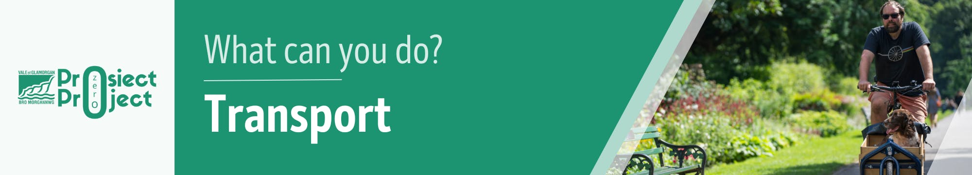 Transport - what can you do?
