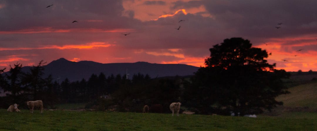 Aberdeenshire sunset