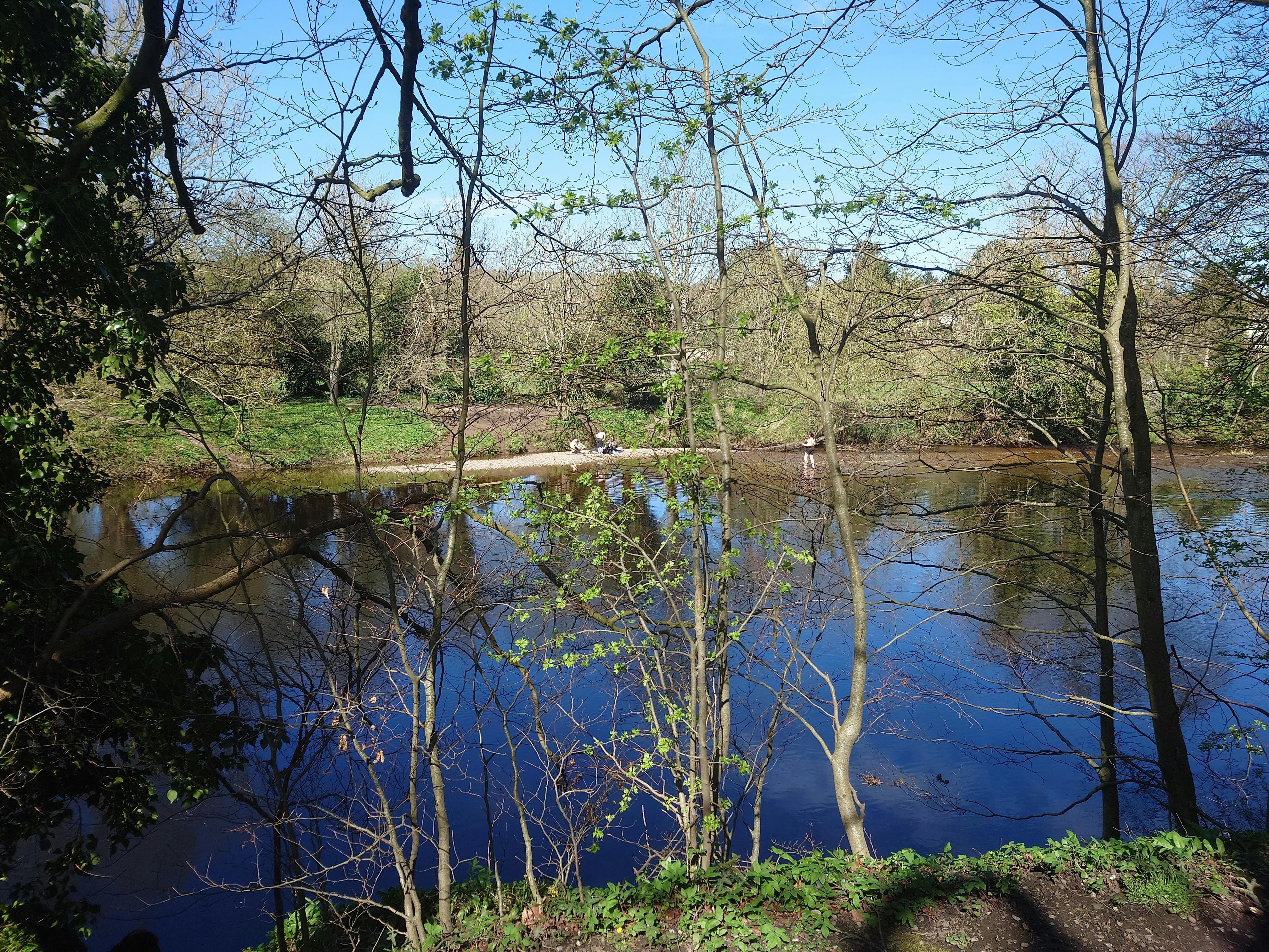 The Wharfe