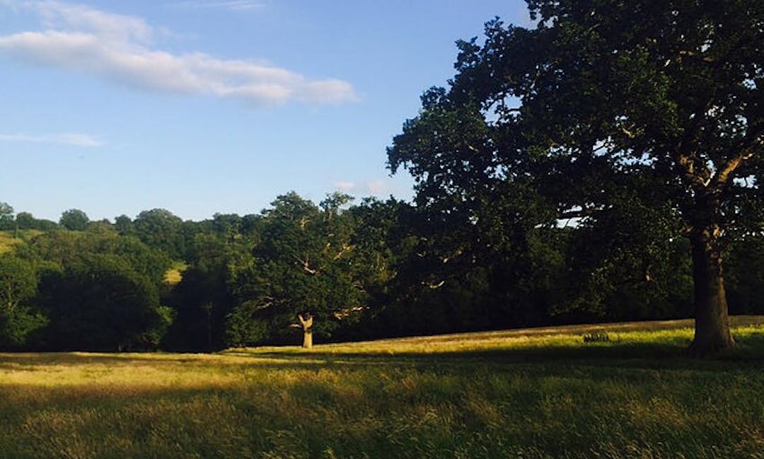 Fallow Meadow Hook Lane 