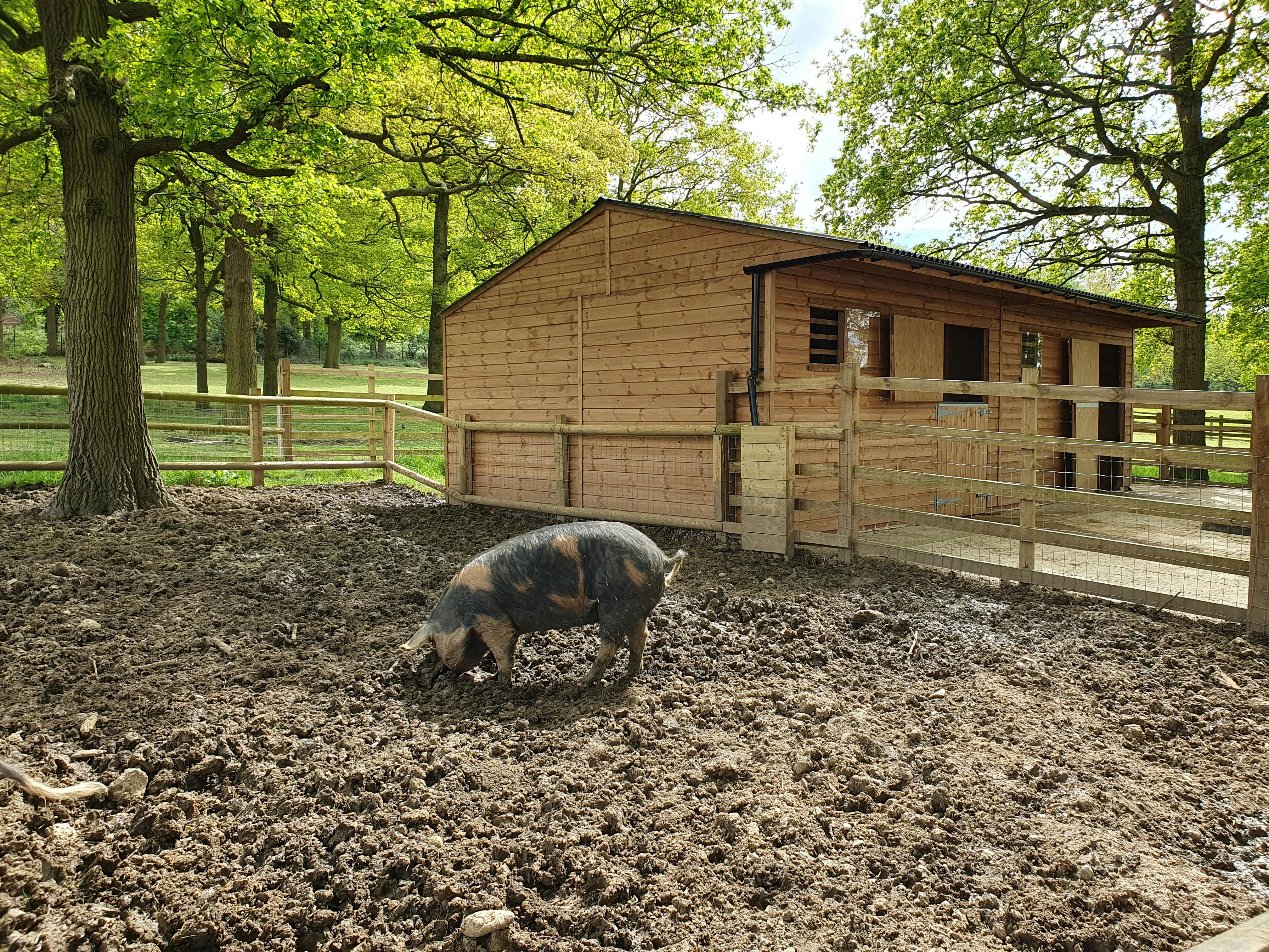 Foxburrow's Farm