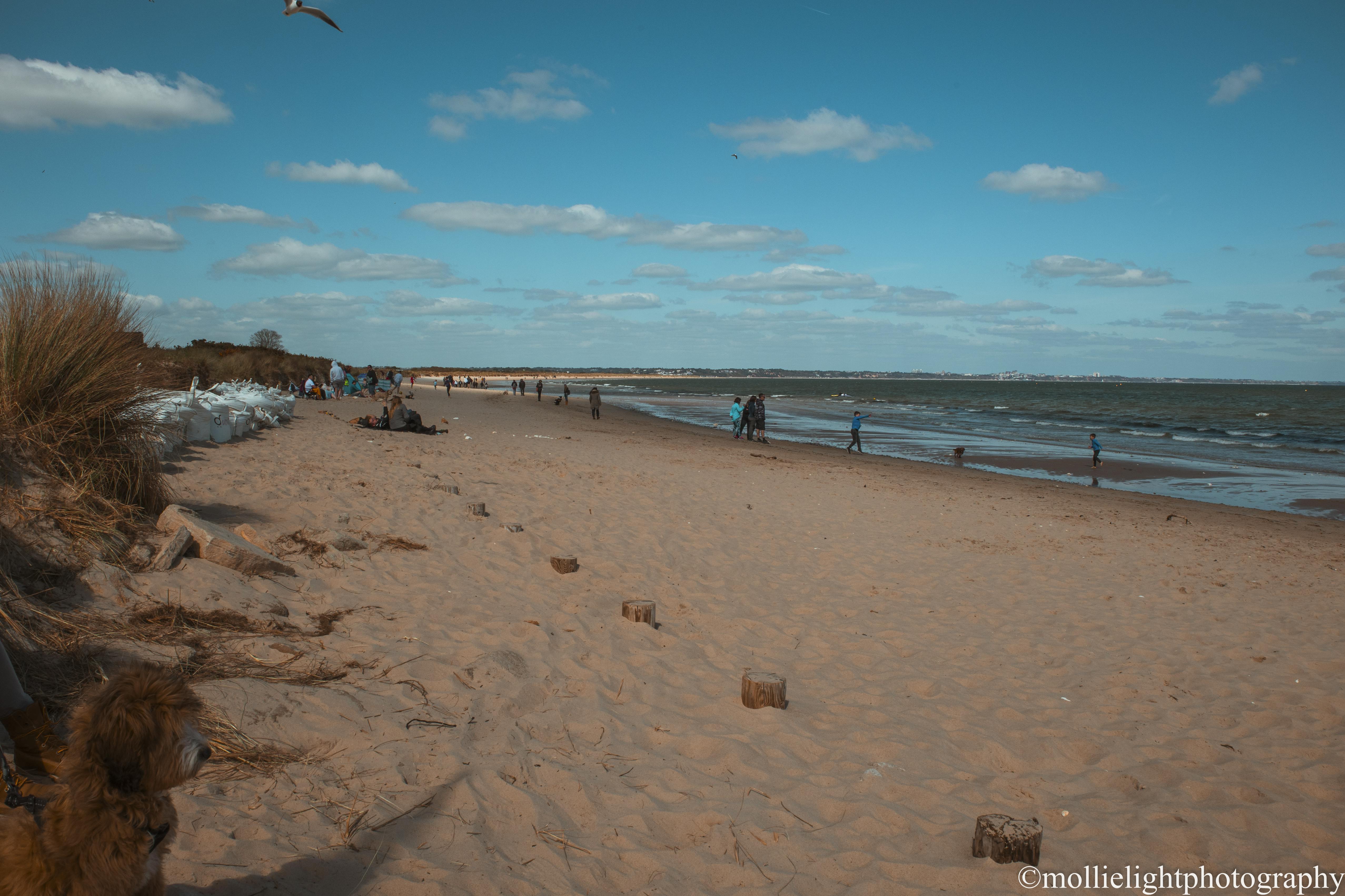 Studland-81.png