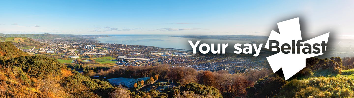 Photo of Belfast with Your say Belfast logo