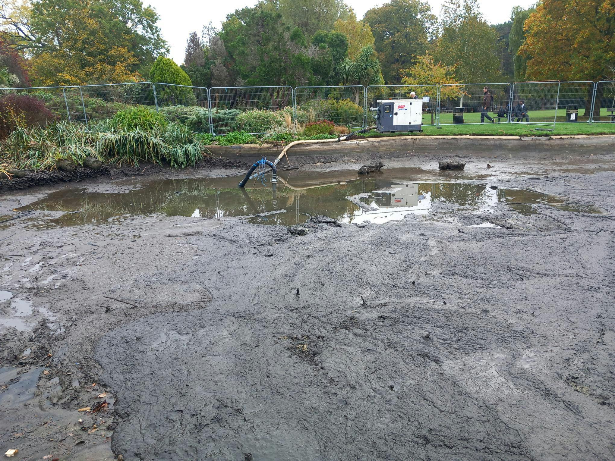 Pond Works Progress 221025_05.jpg