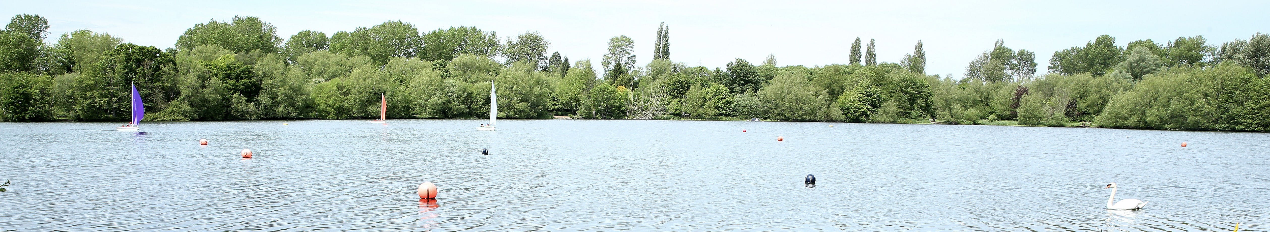 Rickmansworth Aquadrome. Boats on the lake and a swan swimming