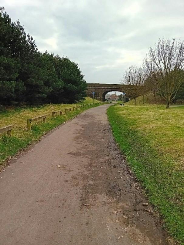 Faulds Road Before.jpg