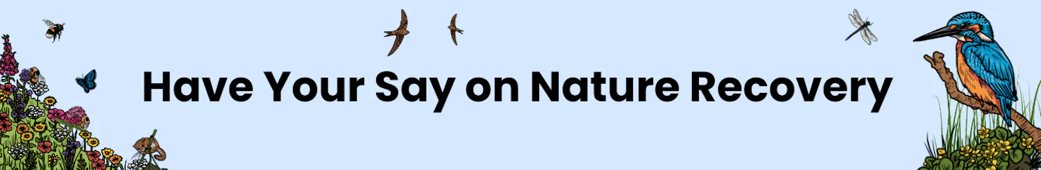 Have Your Say on Nature Recovery