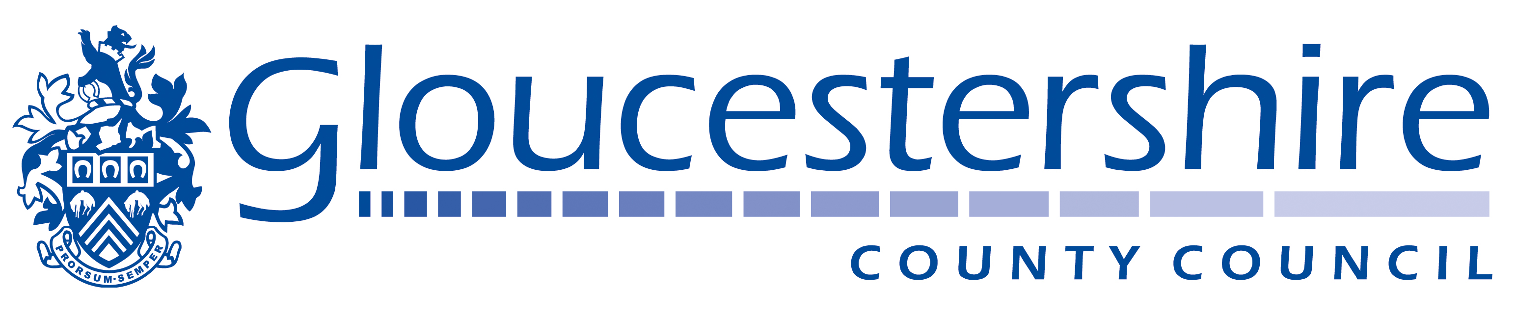 project banner