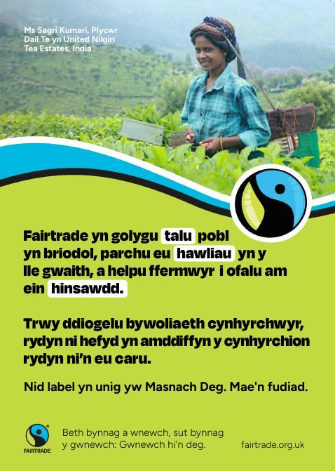 Welsh poster Fairtrde Fortnight 3.png