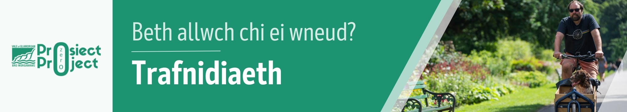 Beth allwch chi ei wneud?